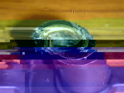 DSC02334.jpg